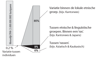 Variatie in het DNA tussen individuele mensen